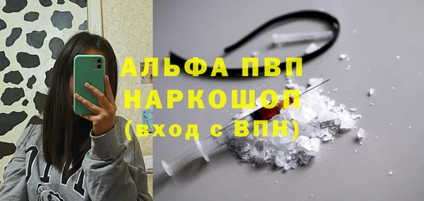 молекула духа Медвежьегорск