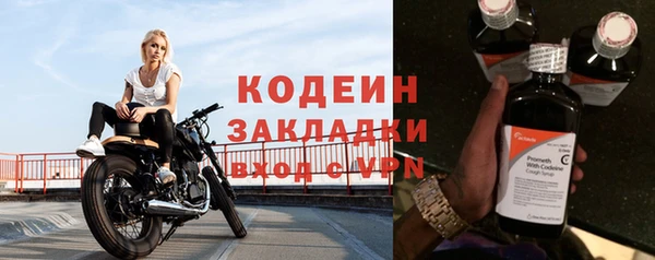 шишки Бердск