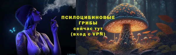 молекула духа Медвежьегорск