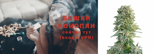 молекула духа Медвежьегорск