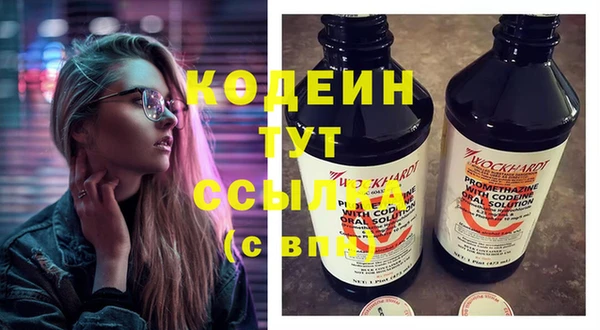 молекула духа Медвежьегорск