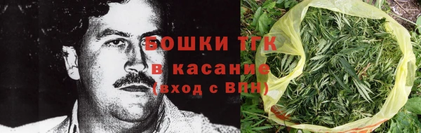 молекула духа Медвежьегорск