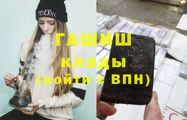 шишки Бердск