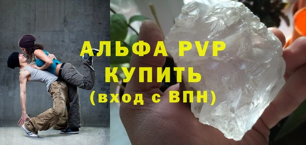 молекула духа Медвежьегорск