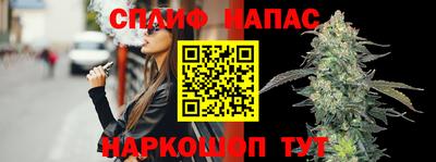 шишки Тверь