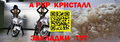 шишки Тверь