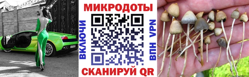 закладки  KRAKEN сайт  Псилоцибиновые грибы Psilocybine cubensis  Сертолово 